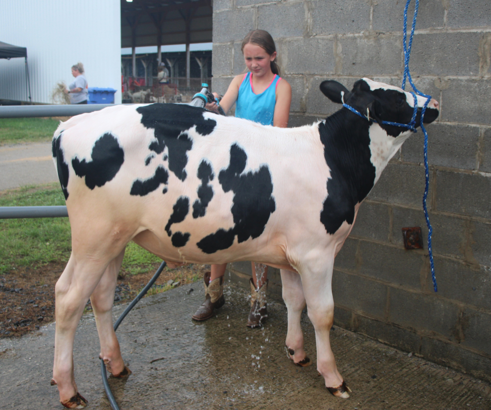 Today is UPMC Day at the fair; Elvis Tribute, baking contests, drag racing and more on tap